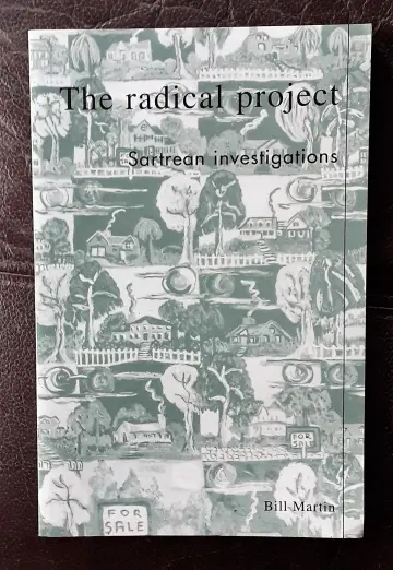 Cover of The Radical Project
