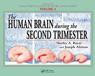 Cover of The Human Brain During the Second Trimester