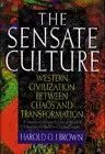 Cover of The Sensate Culture