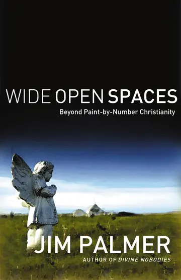 Cover of Wide Open Spaces