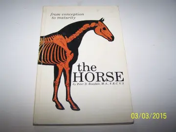 Cover of Horse