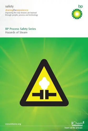 Cover of Hazards of Steam