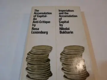 Cover of The Accumulation of Capital - An Anti-Critique