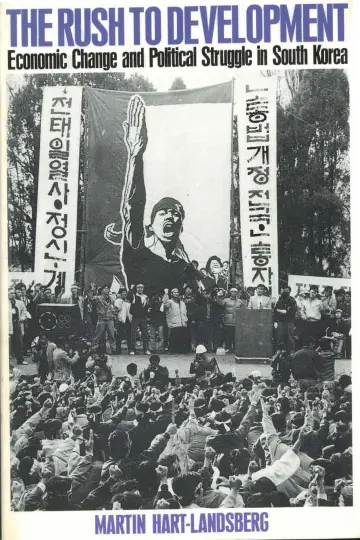 Cover of The Rush to Development
