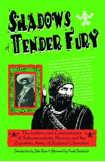 Cover of Shadows of Tender Fury