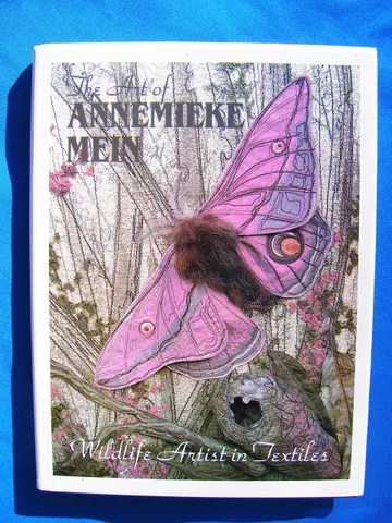 Cover of The Art of Annemieke Mein