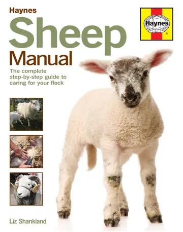 Cover of Sheep Manual