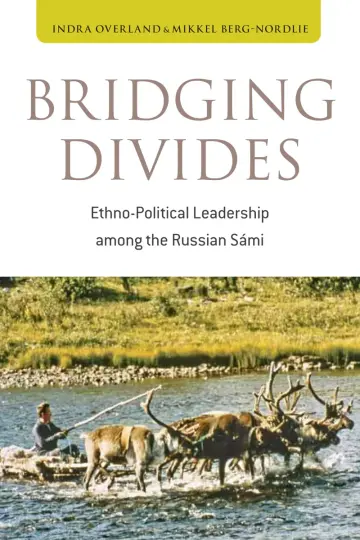 Cover of Bridging Divides