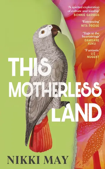 Cover of This Motherless Land