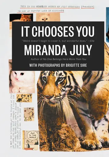 Cover of It Chooses You
