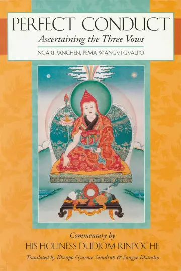 Cover of Perfect Conduct