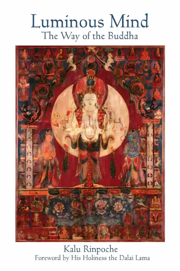 Cover of Luminous Mind