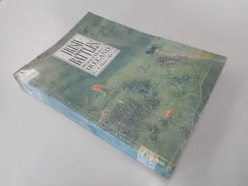 Cover of Irish Battles
