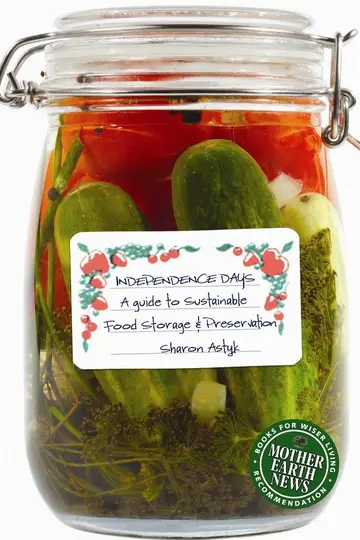 Cover of Independence Days