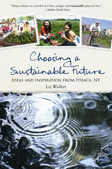 Cover of Choosing a Sustainable Future