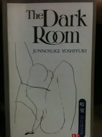 Cover of The Dark Room