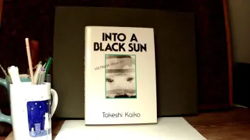 Cover of Into a Black Sun