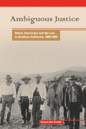 Cover of Ambiguous Justice