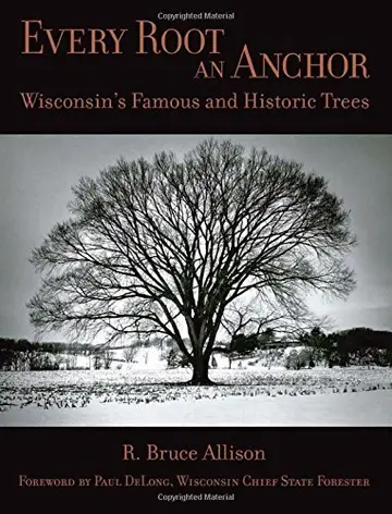 Cover of Every Root an Anchor