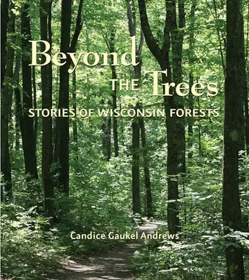 Cover of Beyond the Trees