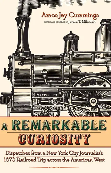 Cover of A Remarkable Curiosity