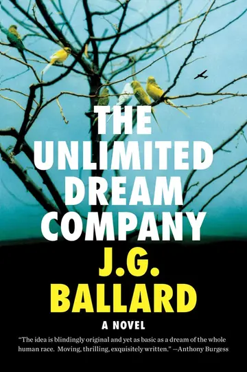 Cover of The Unlimited Dream Company