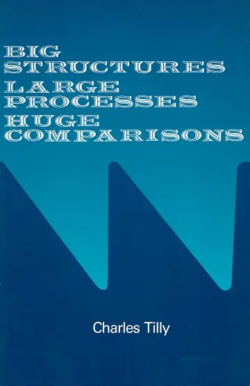 Cover of Big Structures, Large Processes, Hugh Comparisons