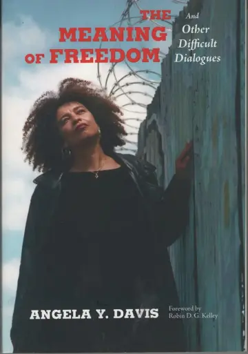 Cover of The Meaning of Freedom