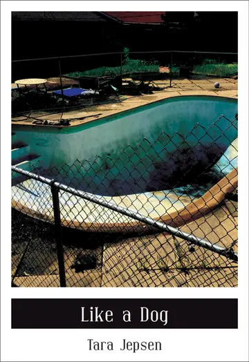 Cover of Like a Dog
