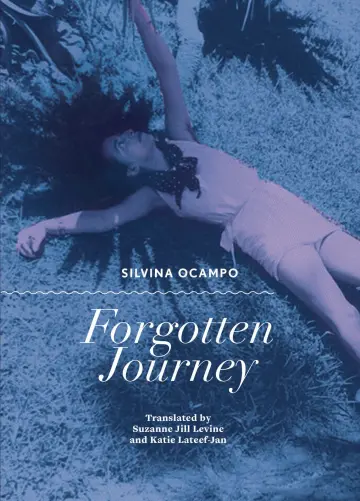 Cover of Forgotten Journey
