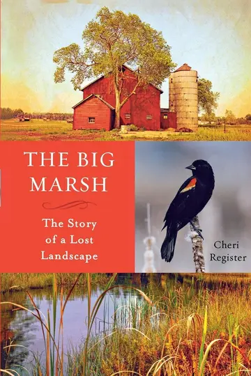 Cover of The Big Marsh