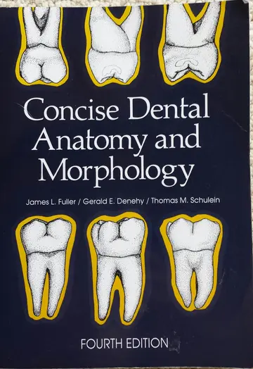 Cover of Concise Dental Anatomy and Morphology