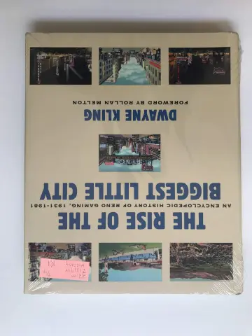 Cover of The Rise of the Biggest Little City