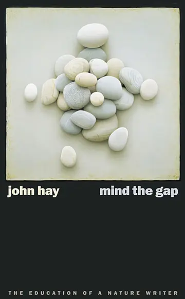 Cover of Mind the Gap