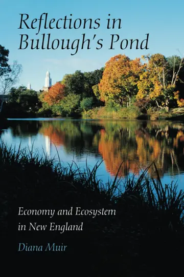 Cover of Reflections in Bullough's Pond