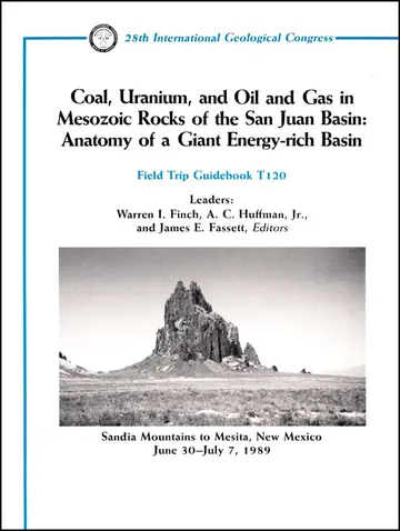 Cover of Coal, Uranium, and Oil and Gas in Mesozoic Rocks of the San Juan Basin