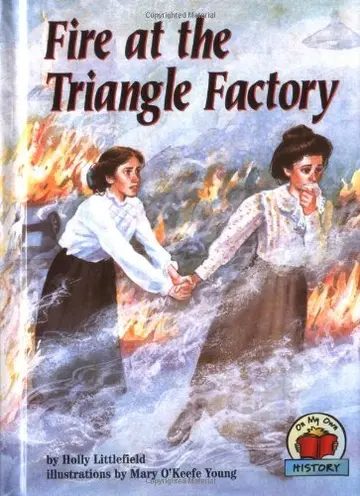 Cover of Fire at the Triangle Factory