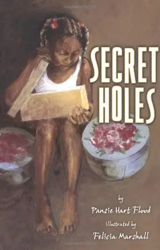 Cover of Secret Holes