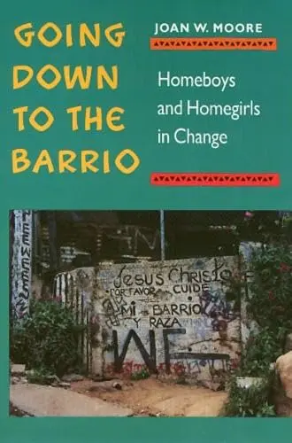 Cover of Going Down to the Barrio – Homeboys and Homegirls in Change
