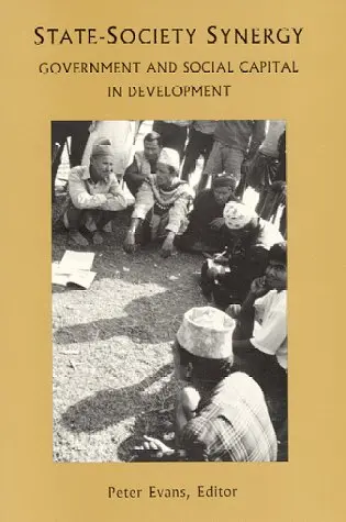 Cover of State-Society Synergy