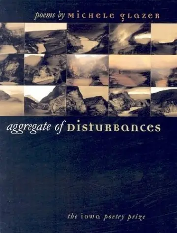 Cover of Aggregate of Disturbances