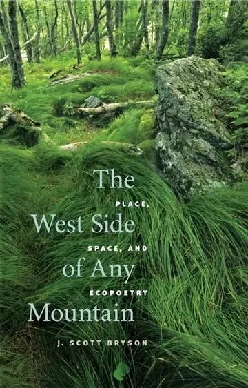 Cover of The West Side of Any Mountain