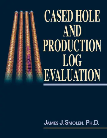 Cover of Cased Hole and Production Log Evaluation