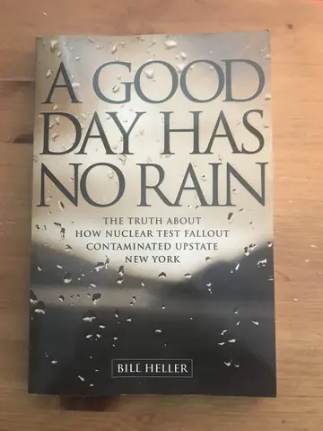 Cover of A Good Day Has No Rain