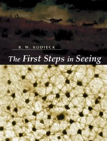 Cover of The First Steps in Seeing