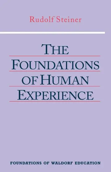 Cover of The Foundations of Human Experience