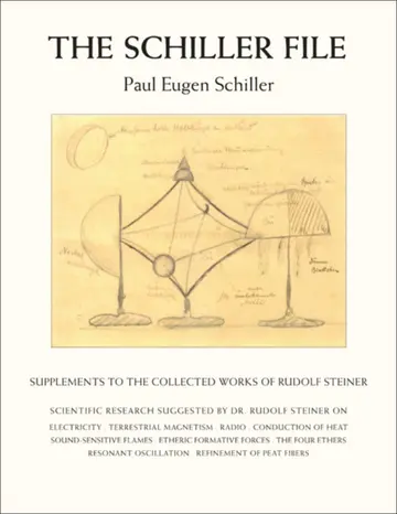 Cover of The Schiller File