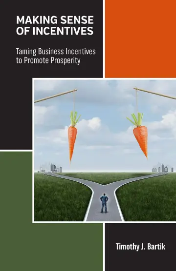 Cover of Making Sense of Incentives