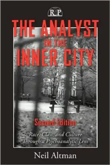 Cover of The Analyst in the Inner City