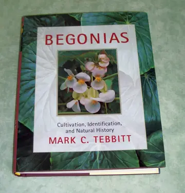 Cover of Begonias